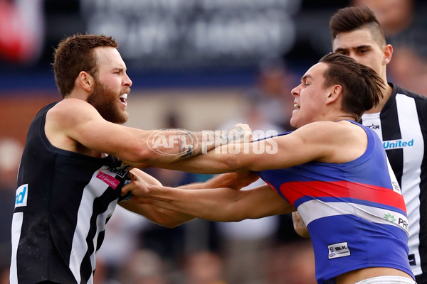 2016 VFL 2nd Preliminary Final - Collingwood v Footscray - 471605