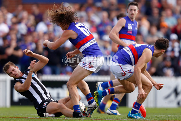 2016 VFL 2nd Preliminary Final - Collingwood v Footscray - 471614