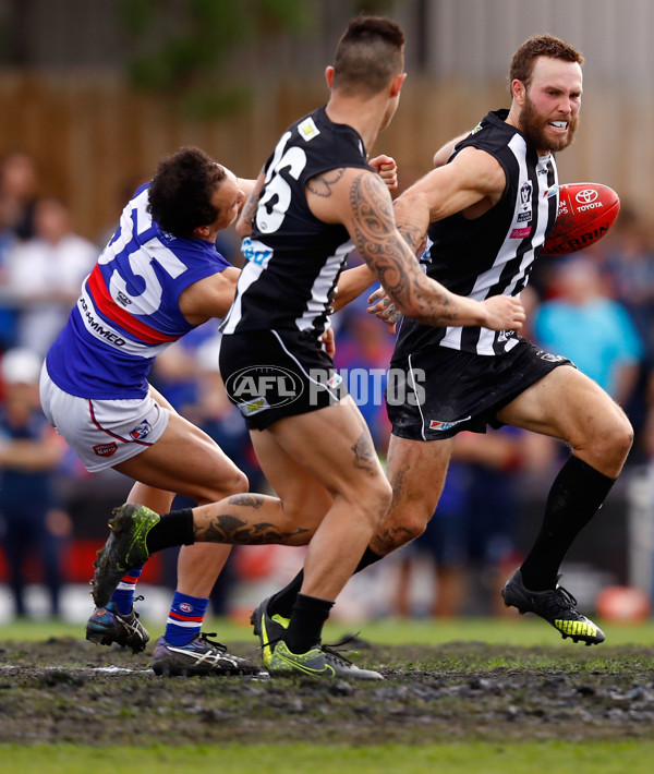 2016 VFL 2nd Preliminary Final - Collingwood v Footscray - 471646