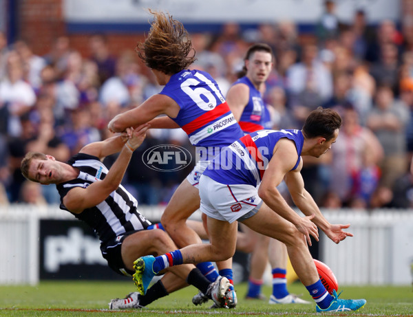 2016 VFL 2nd Preliminary Final - Collingwood v Footscray - 471611