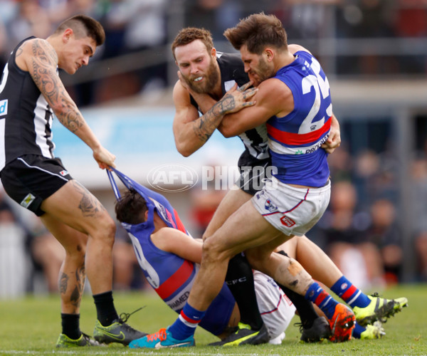 2016 VFL 2nd Preliminary Final - Collingwood v Footscray - 471644