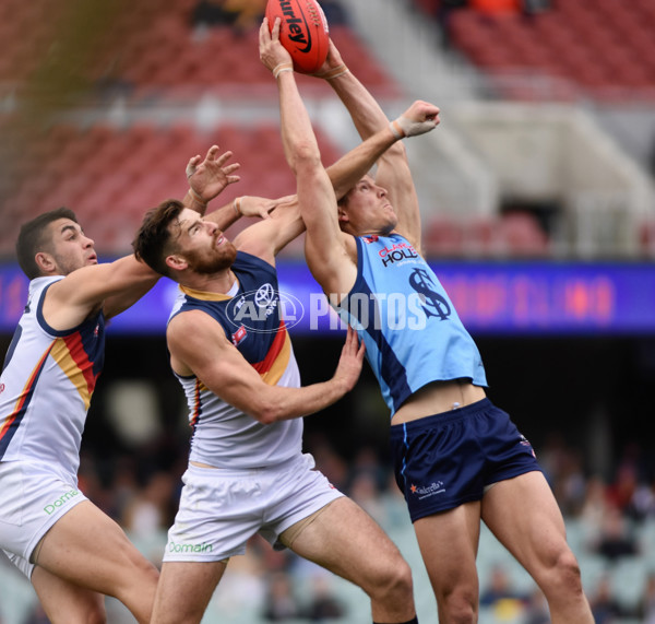 Adelaide 2016 SANFL PF v Sturt - 472226