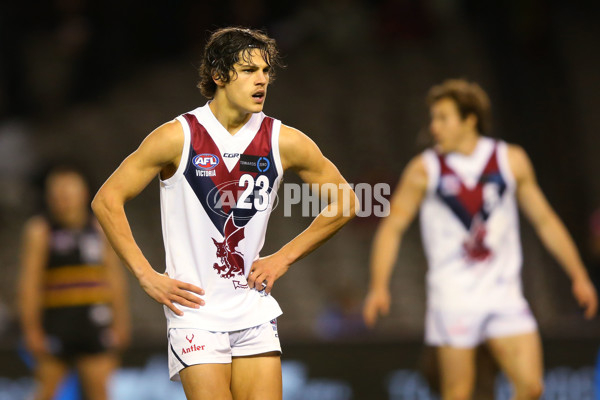 2016 TAC CUP Grand Final - Murray Bushrangers v Sandringham Dragons - 473439