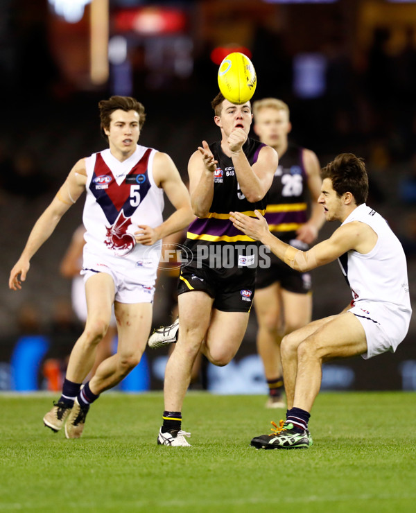 2016 TAC CUP Grand Final - Murray Bushrangers v Sandringham Dragons - 473452