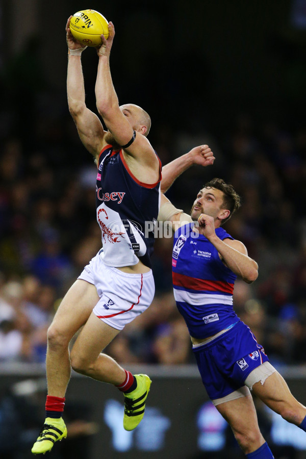 2016 VFL Grand Final - Footscray Bulldogs v Casey Scorpians - 473610