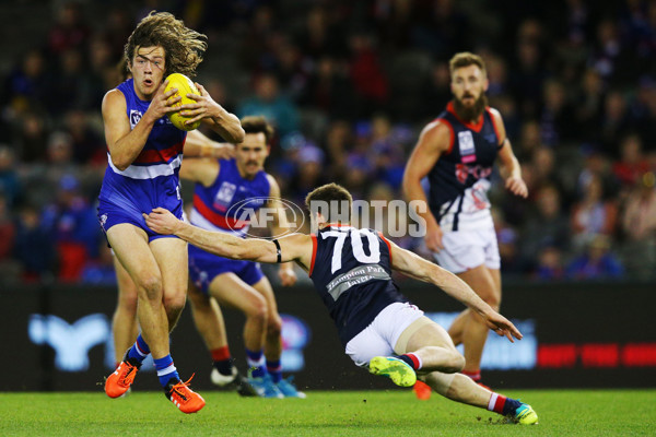 2016 VFL Grand Final - Footscray Bulldogs v Casey Scorpians - 473577