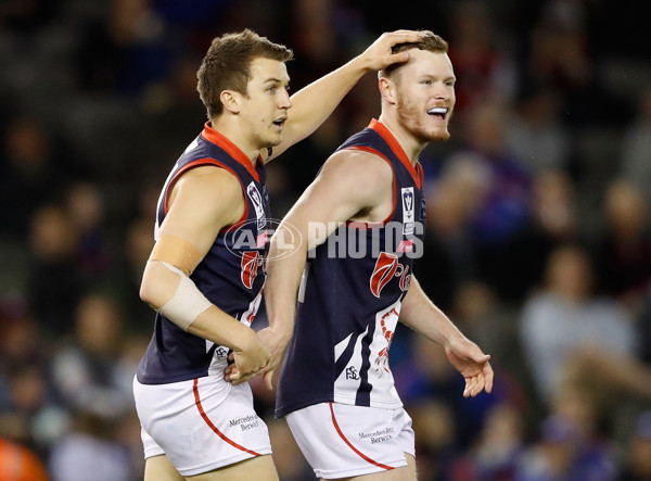 2016 VFL Grand Final - Footscray Bulldogs v Casey Scorpians - 473584