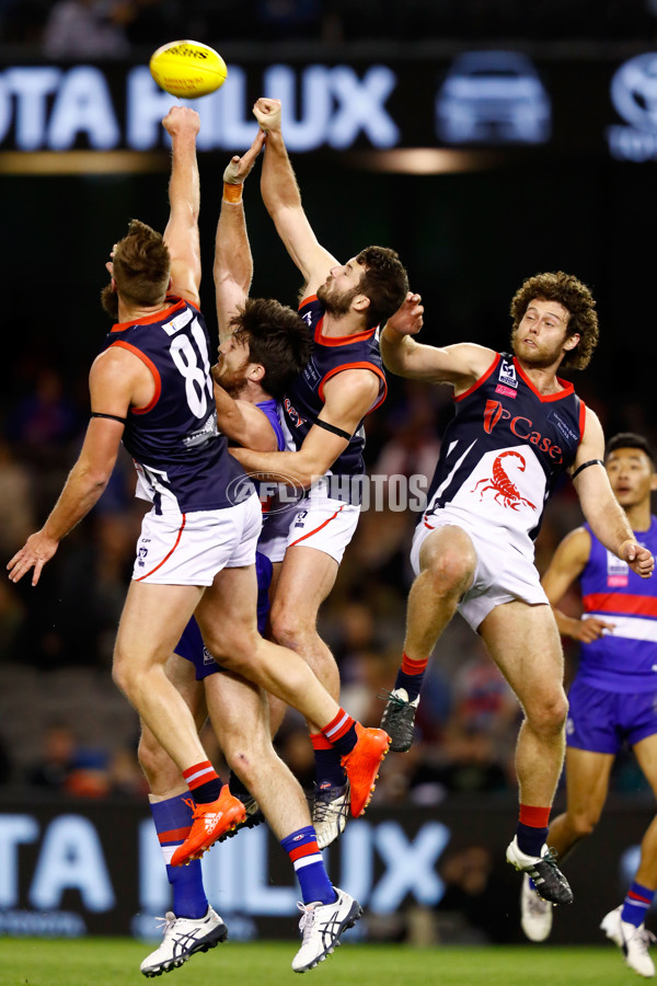 2016 VFL Grand Final - Footscray Bulldogs v Casey Scorpians - 473655