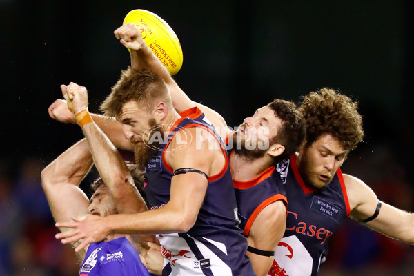 2016 VFL Grand Final - Footscray Bulldogs v Casey Scorpians - 473653