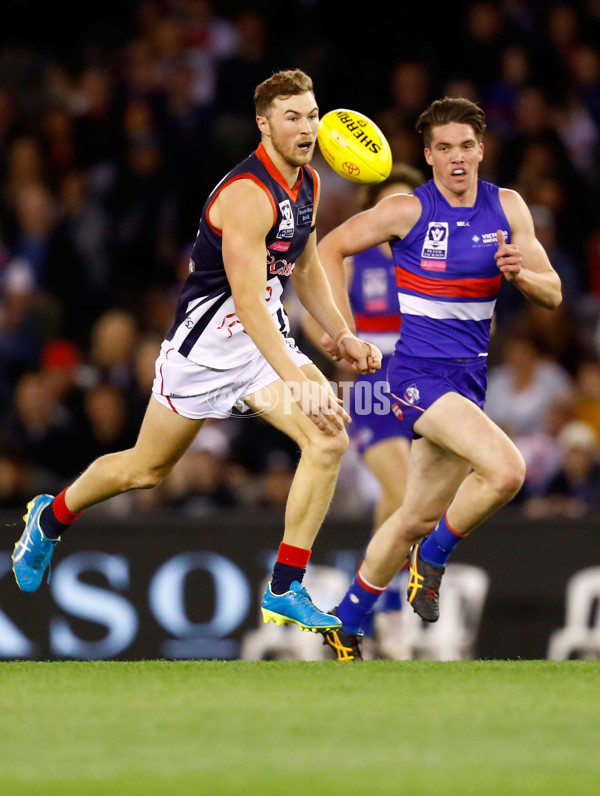 2016 VFL Grand Final - Footscray Bulldogs v Casey Scorpians - 473670