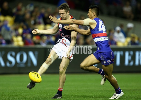 2016 VFL Grand Final - Footscray Bulldogs v Casey Scorpians - 473751