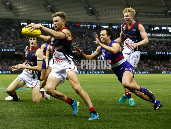 2016 VFL Grand Final - Footscray Bulldogs v Casey Scorpians - 473738