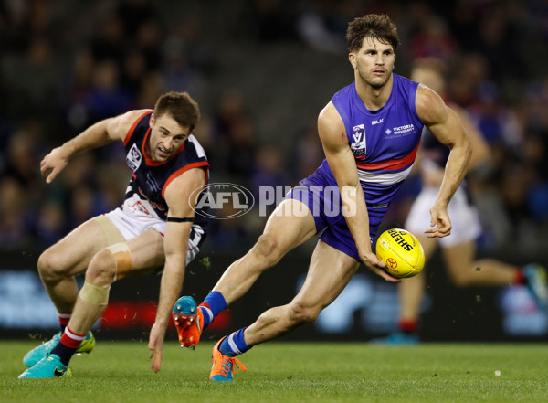 2016 VFL Grand Final - Footscray Bulldogs v Casey Scorpians - 473867