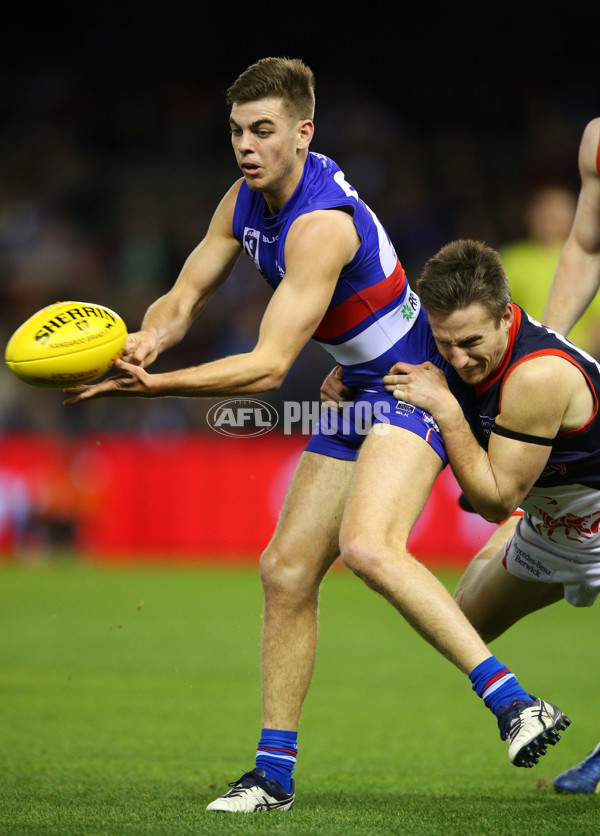 2016 VFL Grand Final - Footscray Bulldogs v Casey Scorpians - 473915