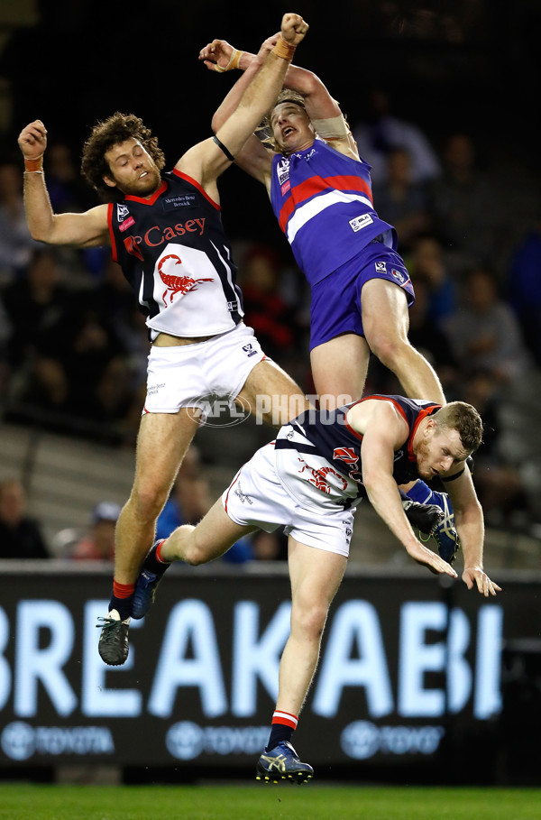 2016 VFL Grand Final - Footscray Bulldogs v Casey Scorpians - 473855