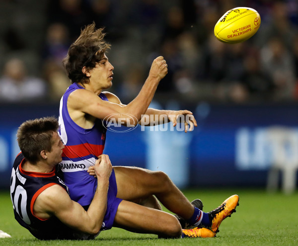 2016 VFL Grand Final - Footscray Bulldogs v Casey Scorpians - 473857