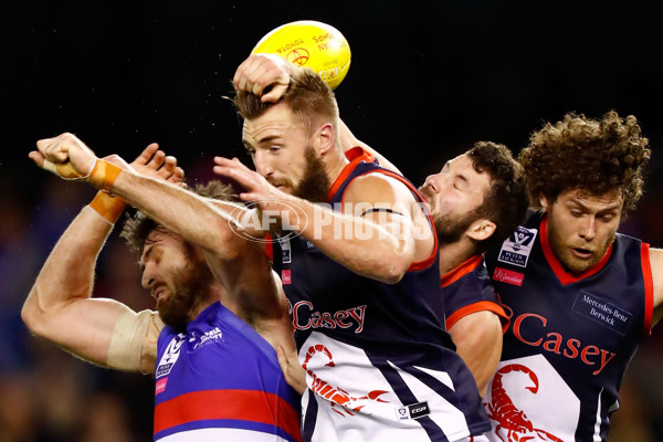 2016 VFL Grand Final - Footscray Bulldogs v Casey Scorpians - 473907