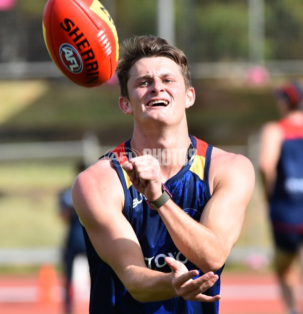 Adelaide 2016 1-4 year players return - 478949