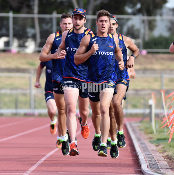 Adelaide 2016 1-4 year players return - 478961