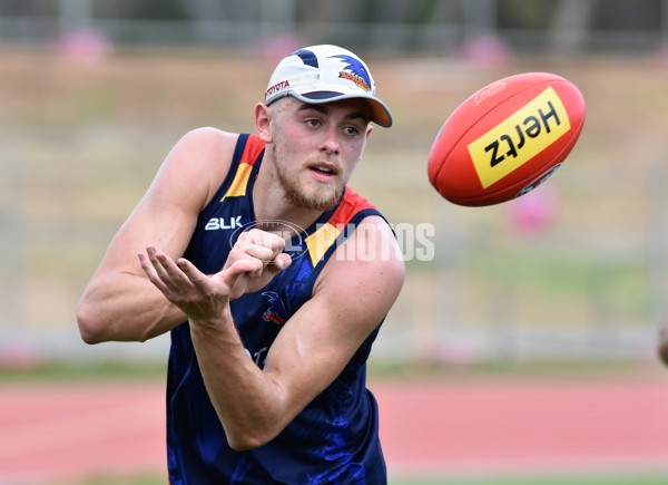 Adelaide 2016 1-4 year players return - 478950