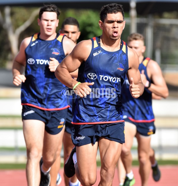 Adelaide 2016 1-4 year players return - 478965