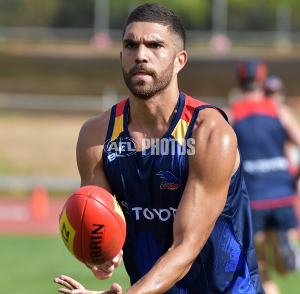 Adelaide 2016 1-4 year players return - 478953