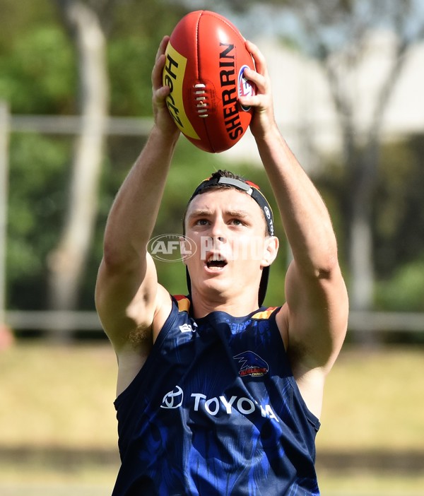 Adelaide 2016 1-4 year players return - 478966