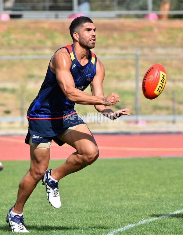 Adelaide 2016 1-4 year players return - 478956