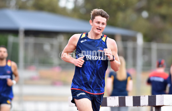 Adelaide 2016 1-4 year players return - 478952
