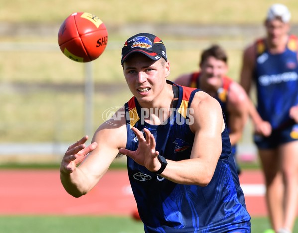 Adelaide 2016 1-4 year players return - 478959