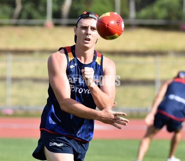 Adelaide 2016 1-4 year players return - 478972