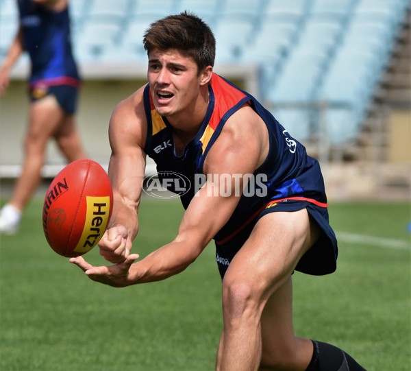 Adelaide 2016 Draftees' first training - 480169