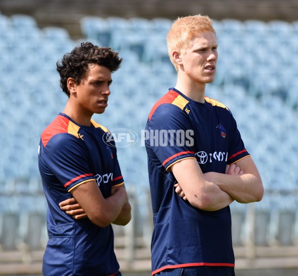 Adelaide 2016 Draftees' first training - 480167