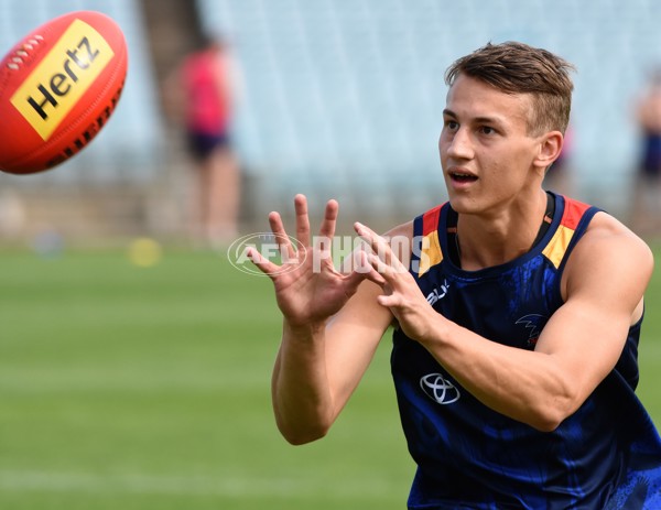 Adelaide 2016 Draftees' first training - 480159