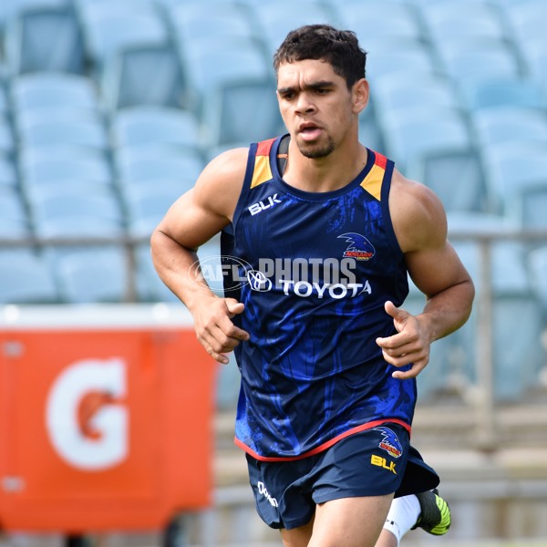 Adelaide 2016 Draftees' first training - 480162