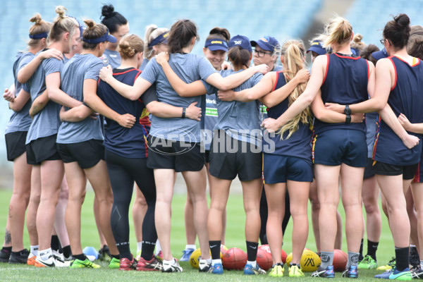 Adelaide 2016 - AFLW Training, November 21 - 480506