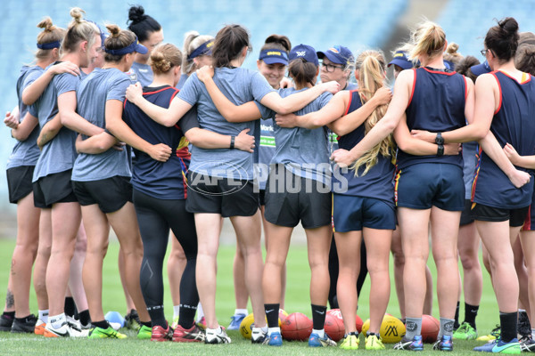 Adelaide 2016 – Womens First Training - 480551