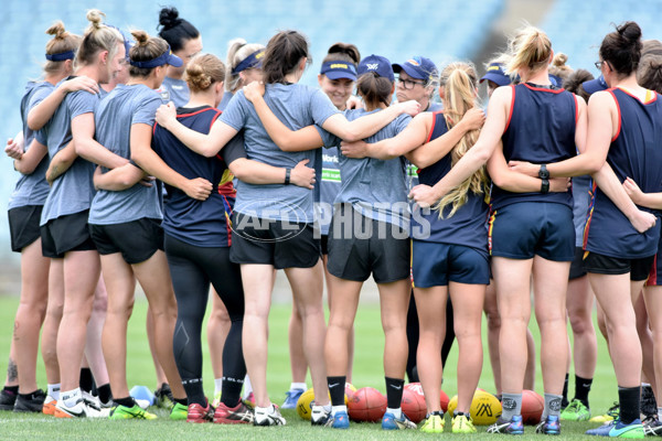 Adelaide 2016 – Womens First Training - 480550