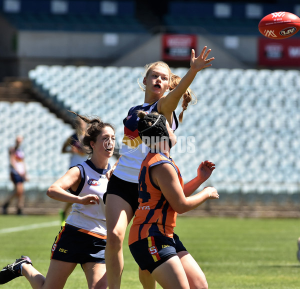 Adelaide 2016 - AFLW Dec 3 - 480680