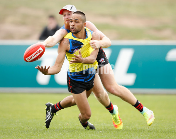 AFL 2016 Training - Essendon 051216 - 480928