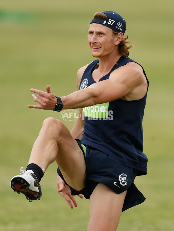 AFL 2016 Training - Carlton 181216 - 482116