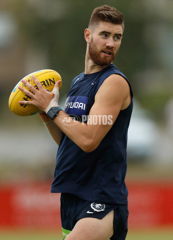 AFL 2016 Training - Carlton 181216 - 482121