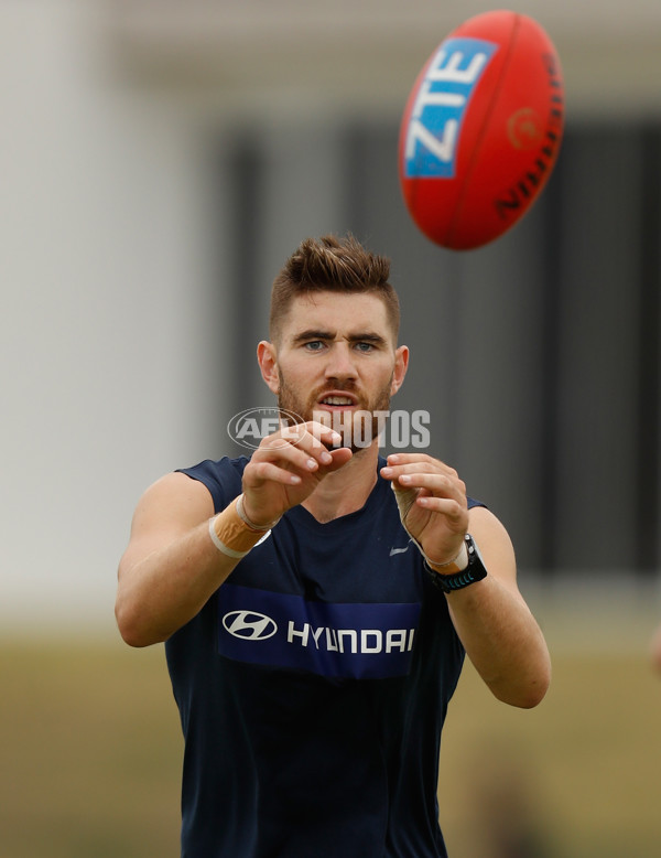 AFL 2016 Training - Carlton 181216 - 482140