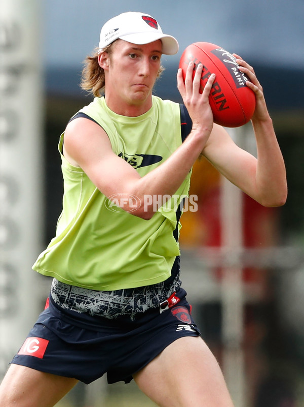 AFL 2017 Training - Melbourne 110117 - 482927