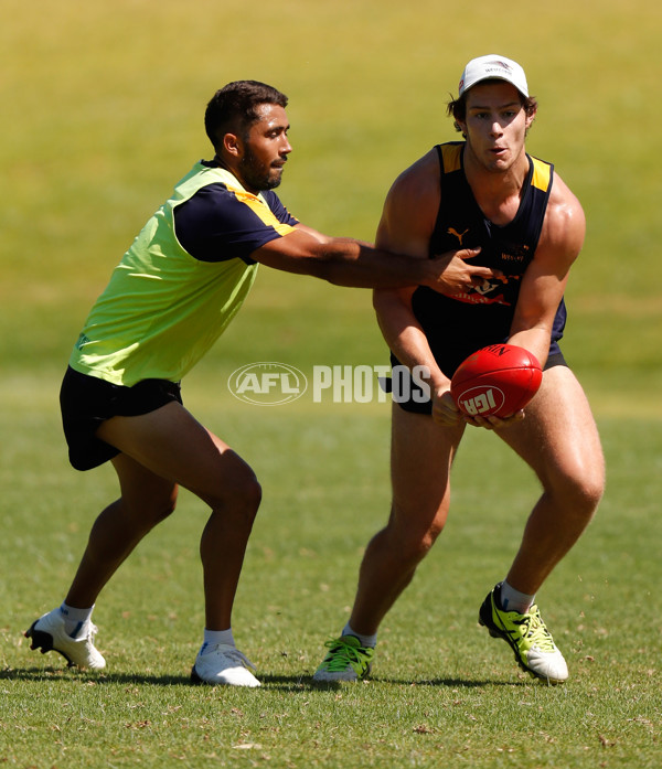 AFL 2017 Training - West Coast Eagles 180117 - 483553