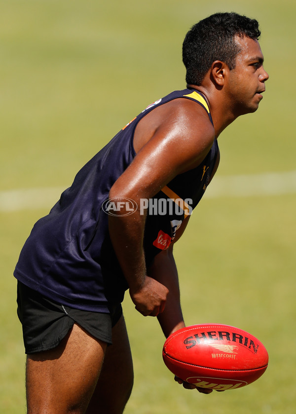 AFL 2017 Training - West Coast Eagles 180117 - 483550