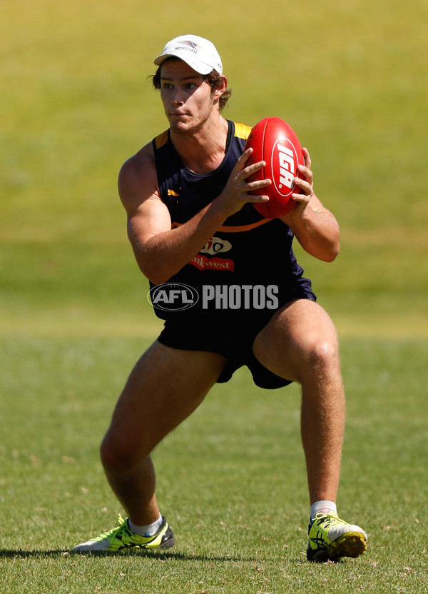 AFL 2017 Training - West Coast Eagles 180117 - 483552