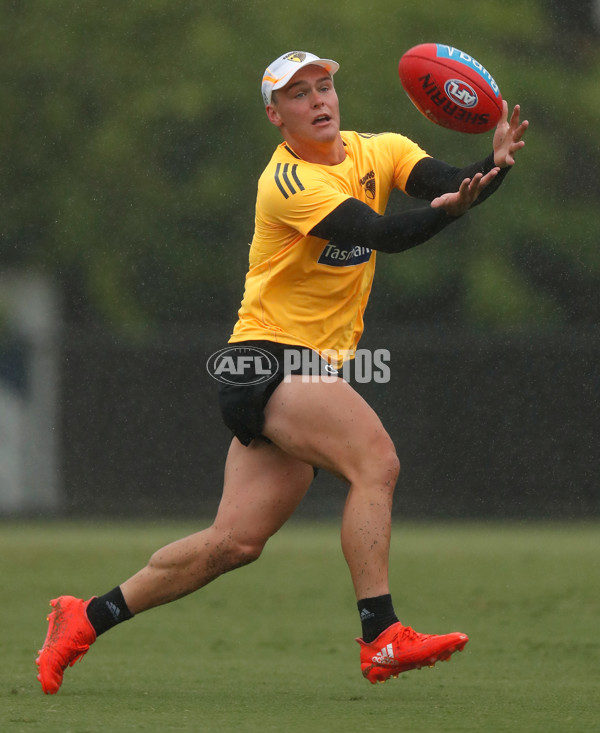 AFL 2017 Training - Hawthorn 200117 - 483726