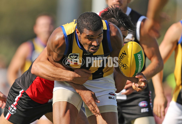 AFL 2017 Training - St Kilda Intraclub Match - 486898