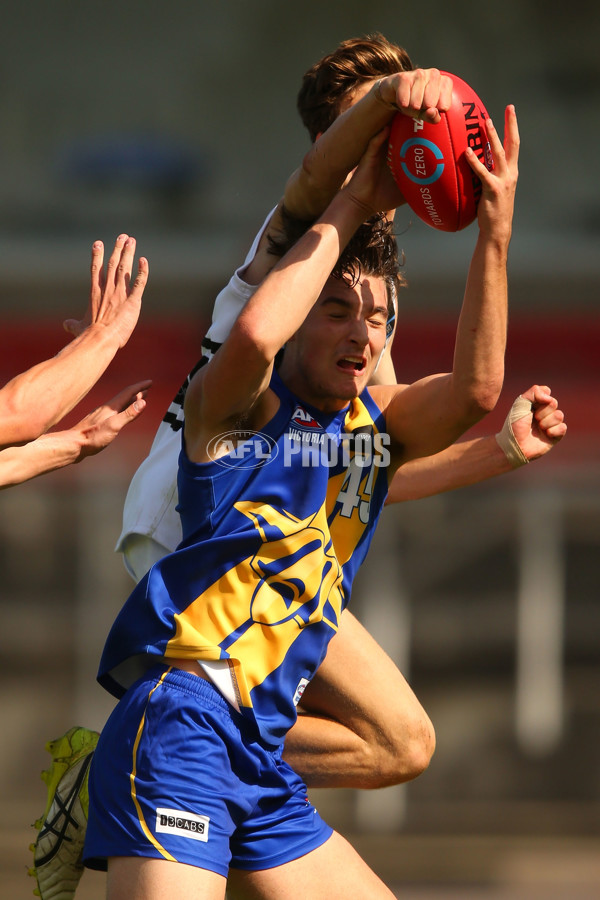 TAC 2017 Round 01 - Western Jets v Northern Knights - 495699